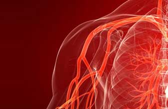 Renato Abalem Vidigal - Foto 1