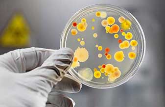 Jose Flavio Ribeiro de Andrade - Foto 1