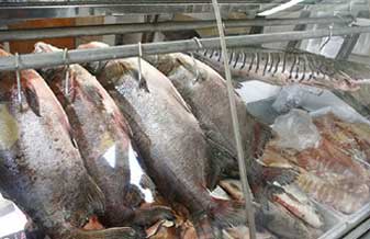 Peixaria Marataízesminas - Foto 1