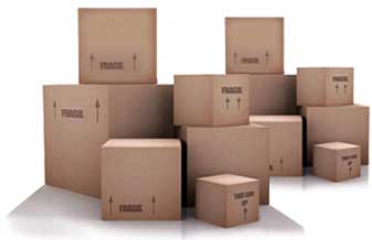 Transamanda - Foto 1