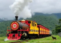 passeios Maria Fumaça