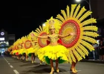 Ingressos para camarotes dos desfiles das escolas de samba de São João del-Rei