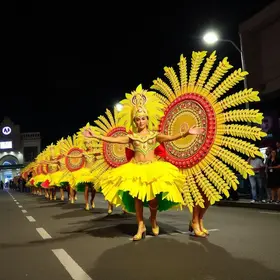 Ingressos para camarotes dos desfiles das escolas de samba de São João del-Rei
