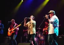 Curta Musical '[sól-ta]'