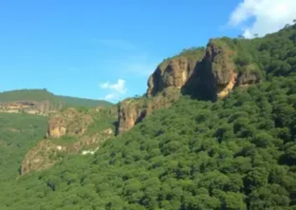 Últimas Notícias de São João Del Rei