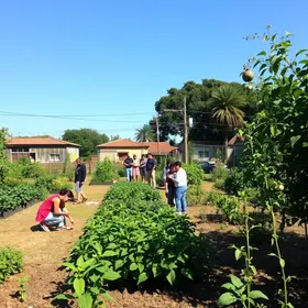 Horta Comunitária São João Del Rei